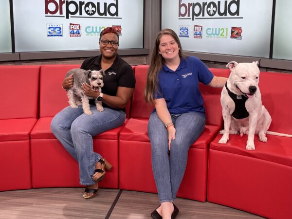 two ladies sitting on couch with their dogs